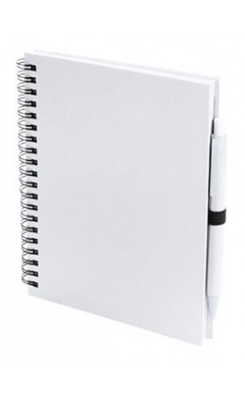 CADERNO E ESFEROGRAFICA....