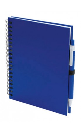 CADERNO E ESFEROGRAFICA....