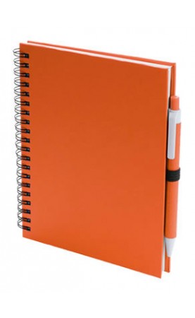 CADERNO E ESFEROGRAFICA....