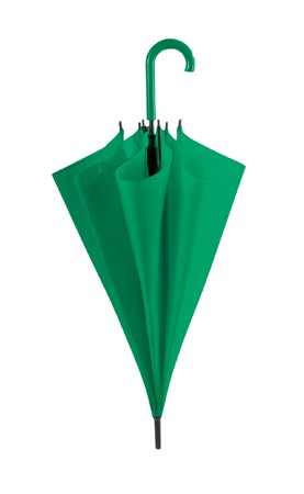PARAGUAS TORIC VERDE